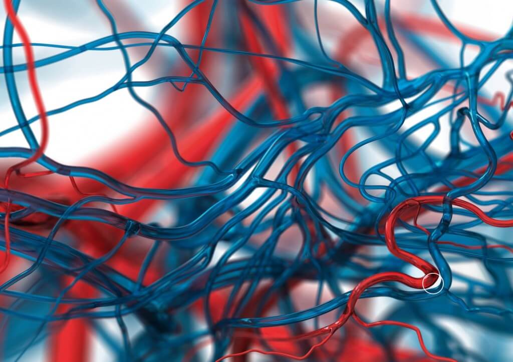 1009374_260251617450287_618096053_o