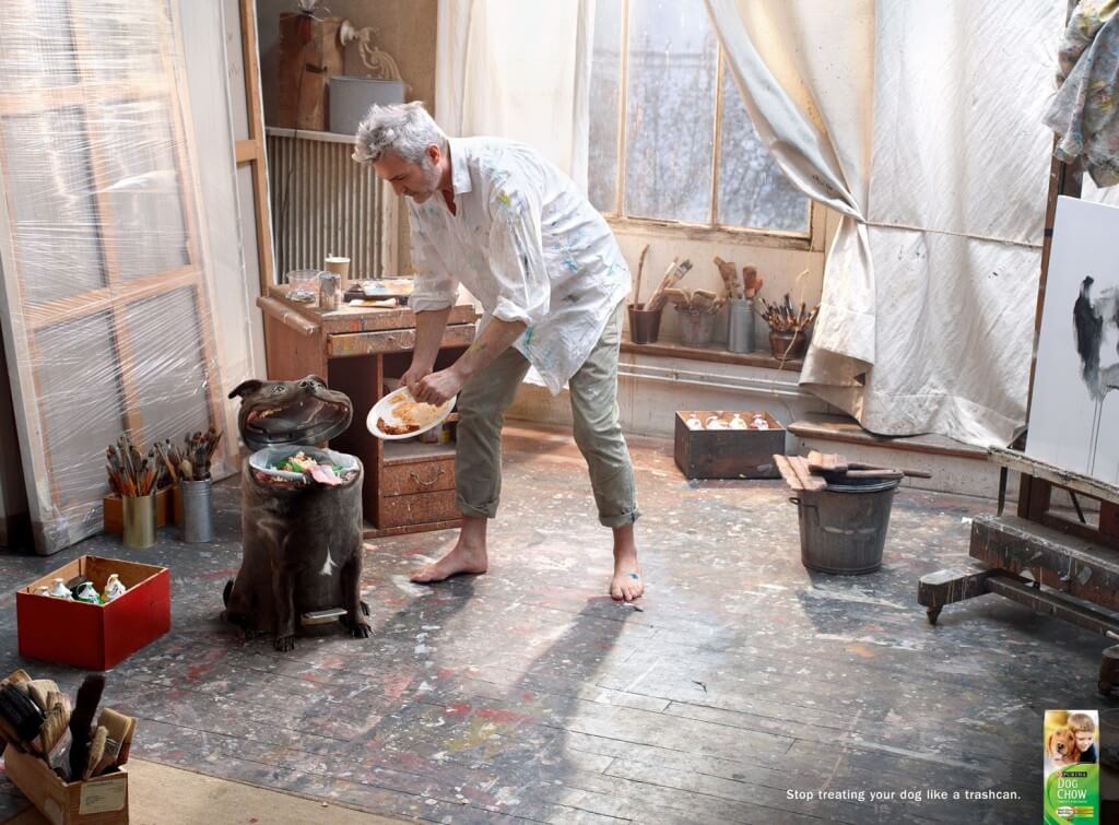 979894_258835474258568_1202482624_o